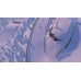 Grand Mountain Adventure: Wonderlands (Nintendo Switch)
