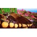 All-Star Fruit Racing (PS4)